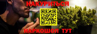 тгк Обь