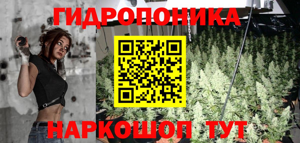 Шишки марихуана LSD WEED  Вход с VPN  МАРИХУАНА ГИДРОПОН  Марихуана гибрид  Омск  Бошки марихуана конопля 